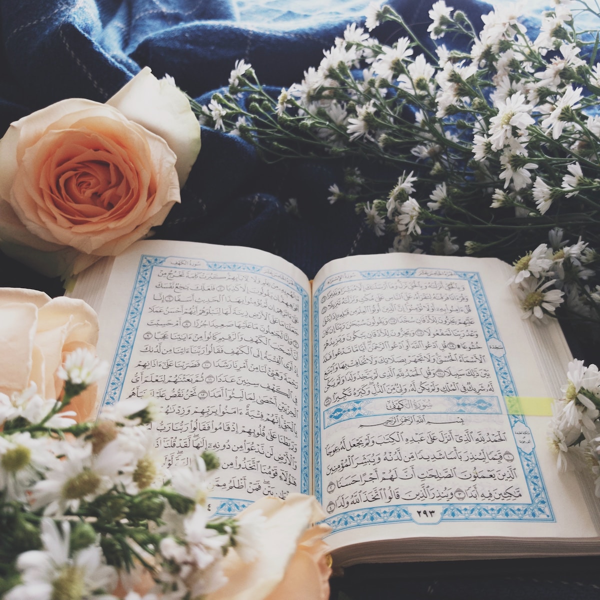 sekolah dasar tahfidz quran sekolah dasar tahfidz terdekat program tahfidz di sekolah dasar sekolah sd tahfidz quran sekolah khusus tahfidz sekolah tahfidz sekolah dasar islam sekolah tahfidz quran sd tahfidz terdekat sd tahfidz quran sekolah tahfidz terdekat sekolah tahfidz terbaik tahfidz sd Bilqis Ummu Wafa